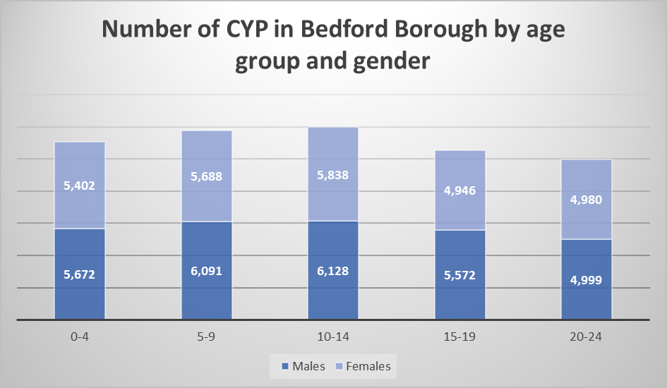 A chart which shows the number of CYP in Bedford Borough by age group and gender.