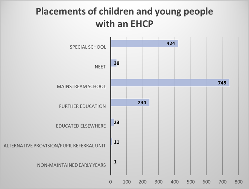 A chart which shows the placements of children and young people with an EHCP.