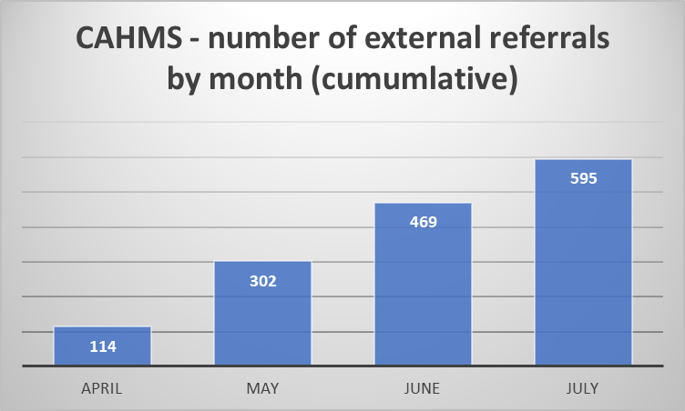 A chart which shows CAHMS - number of external referrals by month (cumulative)