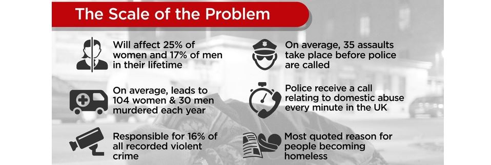 Image for Domestic Violence infographic