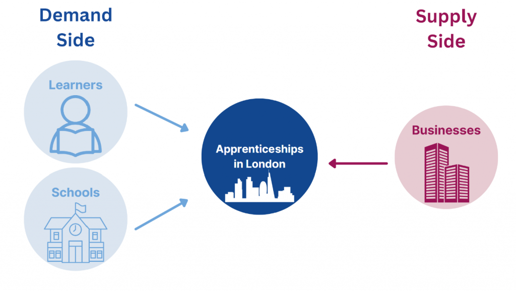 Demand (learners, schools) and Supply (businesses) side graphic for apprenticeships in London