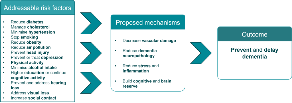 This image shows the addressable risk factors and proposed mechanisms for Dementia