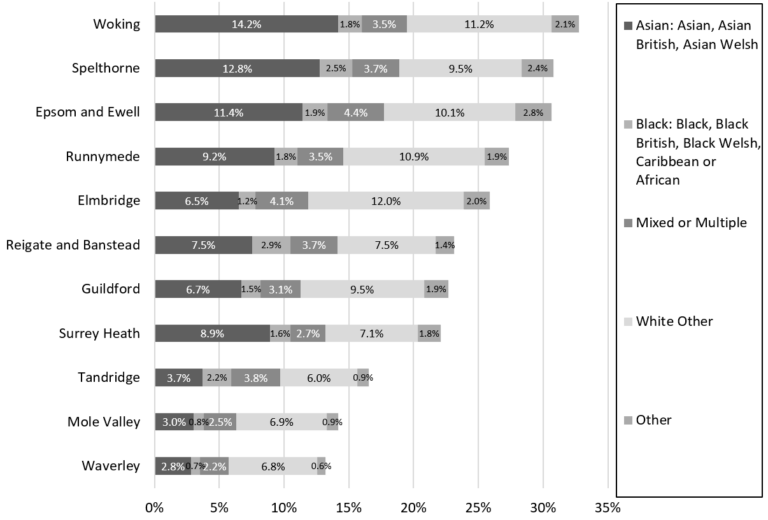 UK CENSUS 2021 ETHNIC GROUPS visual data 5