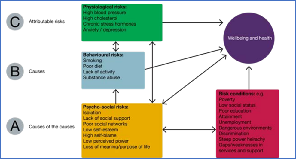 This figures shows wellbeing and health are effected by physiological, behavioural and psycho-social risks.