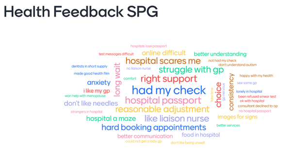Word cloud shows feedback received from the Surrey People's group around Health, the largest words were the most commonly reported and these included: had my check, hospital passport, reasonable adjustment, struggle with GP, right support