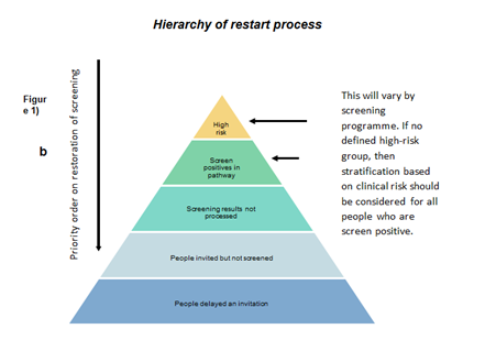 Hierarchy of restart process showing priority order on restoration of screening from Those at high risk to people delayed at invitation.