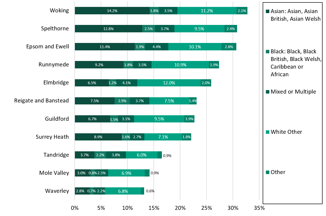 UK CENSUS RACE CATEGORIES visual data 7