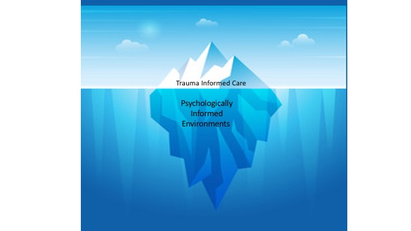 Iceberg diagram demonstrating trauma informed care