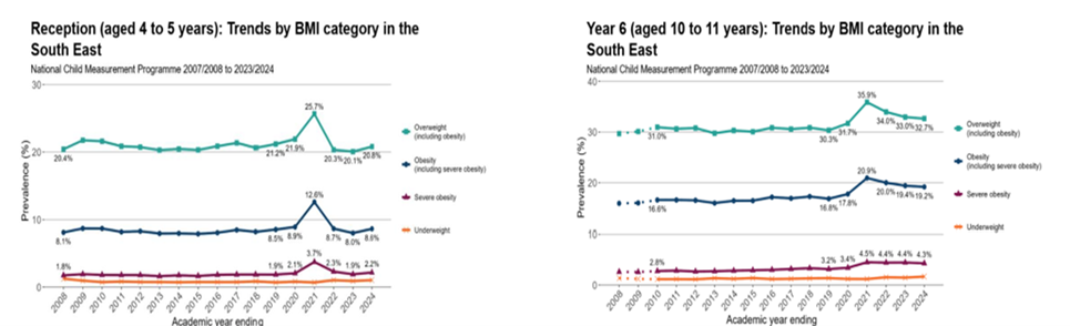 Trends by BMI category in the South East for both reception and Year 6. Chart A shows trends by BMI category for reception children in the South East from 2008 to 2024. Data is from the National Child Measurement Programme. Overall figures for those overweight or obese have remained at around the same level, although percentages of overweight, obese and severely obese are showing signs of increasing in recent years. 2020/21 obesity and overweight percentage showed a marked increase for that year. Total percentages for overwight including obesity were 20.4% in 2008/9 and 20.8% in 23/24.
Chart B shows trends by BMI category for Year 6 children in the South East from 2008 to 2024. Data is from the National Child Measurement Programme. Overall figures for those overweight or obese have remained at around the same level, although percentages of overweight, obese and severely obese increased sharply in 2020/21 - a downward trend is now being seen in those figures. Total figures for overweight including obesity were around 30% in 2008/9 and nearly 33% in 23/24. Percentages for all categories are higher in England than the South East.