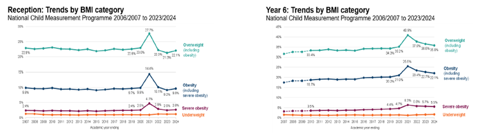 Trends by BMI category in England for both reception and Year 6. Chart C shows trends by BMI category for reception children in England from 2006 to 2024. Data is from the National Child Measurement Programme. Overall figures for those overweight or obese have remained at around the same level, although percentages of overweight, obese and severely obese are showing signs of increasing in recent years. 2020/21 obesity and overweight percentage showed a marked increase for that year. Total percentages for overweight including obesity were 22.9% in 2007/8 and 22.1% in 23/24.
Chart B shows trends by BMI category for Year 6 children in England from 2007 to 2024. Data is from the National Child Measurement Programme. Overall figures for those overweight or obese have remained at around the same level, although percentages of overweight, obese and severely obese increased sharply in 2020/21 - a downward trend is now being seen in those figures. Total figures for overweight including obesity were around 32% in 2007/8 and over 35% in 23/24. Percentages for all categories are higher in England than the South East.