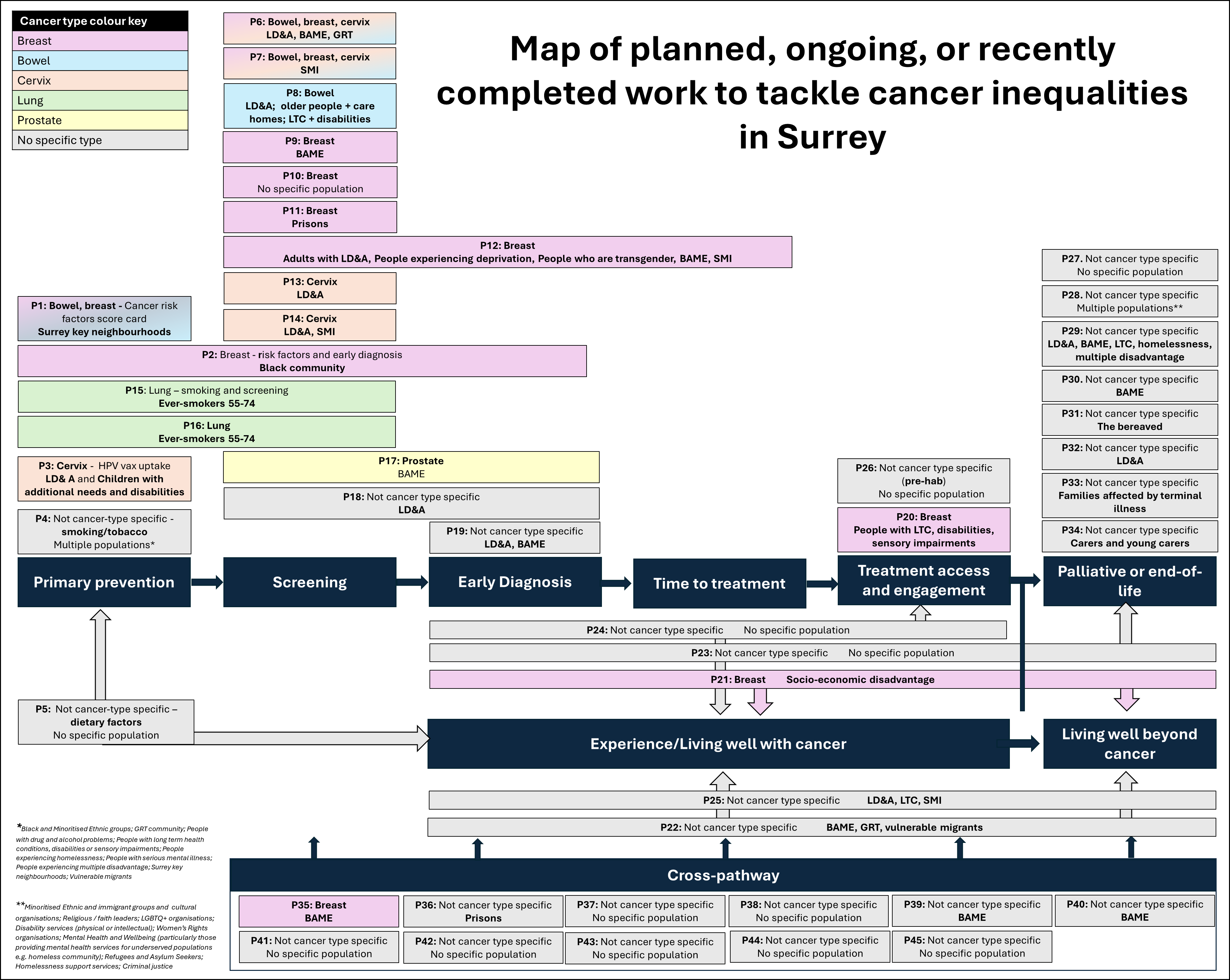 A visual map of planned, ongoing or recently completed work to tackle cancer inequalities in Surrey. There are 45 projects, each mapped to one or multiple steps along the cancer pathway, from primary prevention, to screening, to early diagnosis, to time to treatment, to treatment access and engagement, palliative or end-of-life care, experience/living well with cancer, living well beyond cancer, as well as cross pathway projects. 8 projects are breast cancer specific, 2 are lung cancer specific, 3 are cervical cancer specific, one is prostate cancer specific, and the remaining incorporate a range of cancer types, or are not defined as being cancer type specific. Each project has a number, which corresponds to the projects listed in the Surrey Cancer Inequalities Index. The index can be downloaded from the cancer inequalities resource section below. The index provides full verbal descriptions of each project.